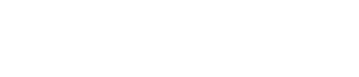 Viesigners Logo